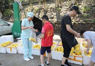 娱乐吃瓜酱贫困户,揭秘贫困户背后的真实故事 第2张 娱乐吃瓜酱贫困户,揭秘贫困户背后的真实故事 第2张
