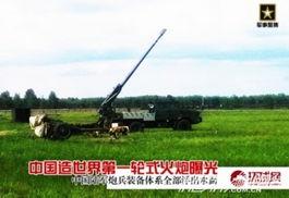 娱乐718.吃瓜王大炮,揭秘“电钻一姐”的争议人生”