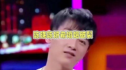 娱乐圈吃瓜陈晓,娱乐圈的瓜田再起波澜