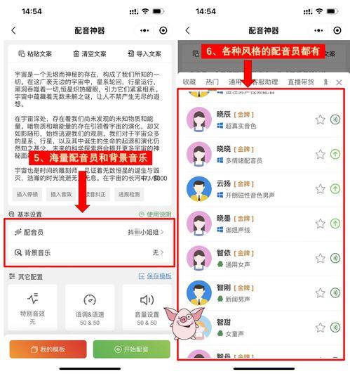 娱乐吃瓜用的配音软件,揭秘热门吃瓜配音软件全攻略