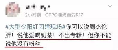 娱乐高质量吃瓜小说,娱乐圈幕后风云录