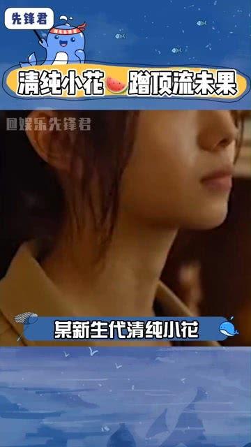 八卦娱乐吃瓜群众,网络时代下的娱乐八卦文化现象