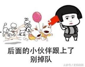 吃瓜娱乐大八卦,吃瓜大事件背后的真相与影响