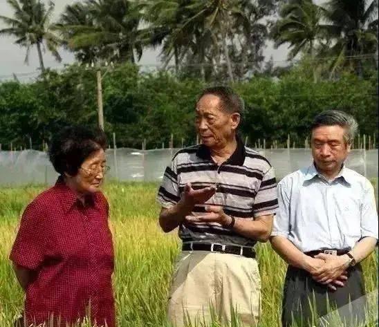 娱乐吃瓜助理当枪使,明星如何利用助理成为“传声筒”，制造八卦黑料