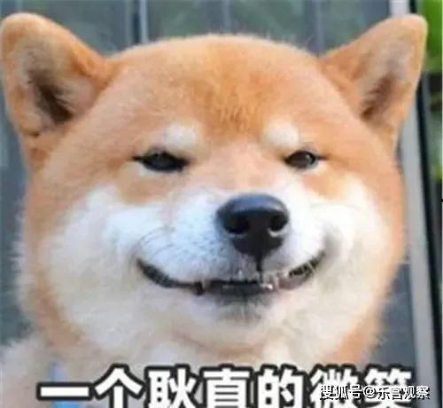 娱乐圈吃瓜的猹 第2张 娱乐圈吃瓜的猹 第2张