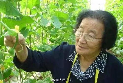 娱乐吃瓜酱夏天开空调,娱乐吃瓜酱教你如何开空调吃瓜两不误 第3张 娱乐吃瓜酱夏天开空调,娱乐吃瓜酱教你如何开空调吃瓜两不误 第3张