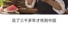 娱乐圈 吃瓜 涨知识,涨知识必备的娱乐圈揭秘 第3张 娱乐圈 吃瓜 涨知识,涨知识必备的娱乐圈揭秘 第3张