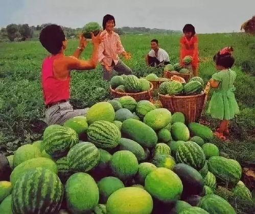 娱乐吃瓜频道有哪些名字,盘点那些让人欲罢不能的频道名称