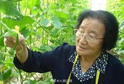 娱乐吃瓜酱犹太人,揭秘犹太人生存智慧与传奇故事 第3张 娱乐吃瓜酱犹太人,揭秘犹太人生存智慧与传奇故事 第3张