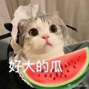 我不是废柴娱乐吃瓜,娱乐吃瓜背后的励志故事