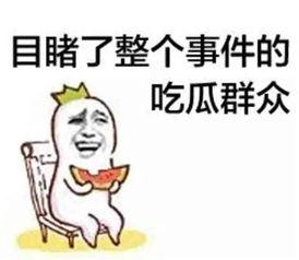 我不是废柴娱乐吃瓜,娱乐吃瓜背后的励志故事 第2张 我不是废柴娱乐吃瓜,娱乐吃瓜背后的励志故事 第2张
