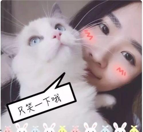 娱乐吃瓜喵姐是谁呀,网络红人的魅力与影响力 第2张 娱乐吃瓜喵姐是谁呀,网络红人的魅力与影响力 第2张