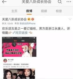 吃瓜小说娱乐圈小说,瓜田里的明星秘闻