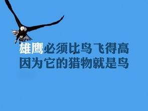 娱乐吃瓜酱励志文案短句,短句汇聚正能量 第2张 娱乐吃瓜酱励志文案短句,短句汇聚正能量 第2张