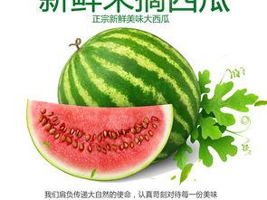 娱乐吃瓜模板素材视频大全,带你领略娱乐圈风云变幻 第3张 娱乐吃瓜模板素材视频大全,带你领略娱乐圈风云变幻 第3张