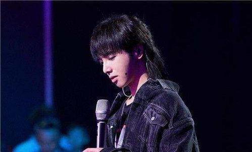 娱乐圈吃瓜华晨宇,娱乐圈的瓜田,他如何成为焦点? 第2张 娱乐圈吃瓜华晨宇,娱乐圈的瓜田,他如何成为焦点? 第2张