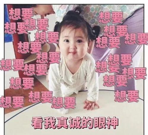 吃瓜娱乐小崽崽小说,小崽崽的娱乐圈奇遇记 第3张 吃瓜娱乐小崽崽小说,小崽崽的娱乐圈奇遇记 第3张