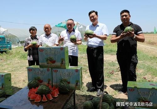 吃瓜娱乐赵小瞒小猫,吃瓜娱乐界的甜蜜萌宠 第3张 吃瓜娱乐赵小瞒小猫,吃瓜娱乐界的甜蜜萌宠 第3张