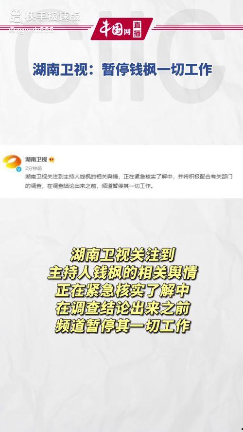娱乐圈吃瓜暗语大全,吃瓜暗语大揭秘，带你领略明星幕后风云  第2张