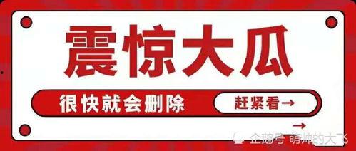 娱乐圈吃瓜暗语大全,吃瓜暗语大揭秘，带你领略明星幕后风云  第3张