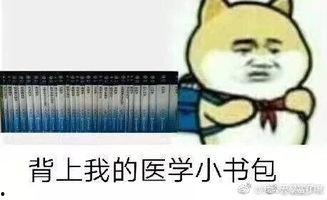 娱乐吃瓜酱学医的意义,趣味与知识的双重收获 第3张 娱乐吃瓜酱学医的意义,趣味与知识的双重收获 第3张