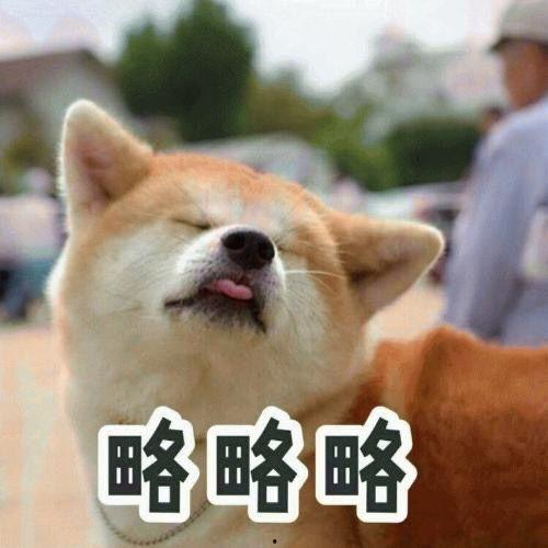 娱乐吃瓜酱狗走丢,狗狗走丢,网友助力寻回温馨故事 第3张 娱乐吃瓜酱狗走丢,狗狗走丢,网友助力寻回温馨故事 第3张