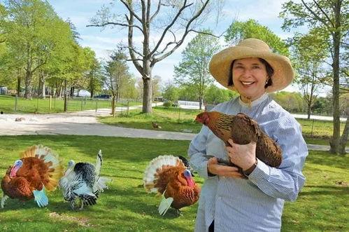 吃瓜娱乐酱顶流社,揭秘顶流社背后的明星圈层 第3张 吃瓜娱乐酱顶流社,揭秘顶流社背后的明星圈层 第3张