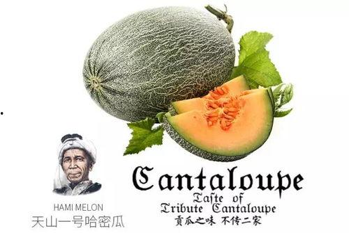 娱乐吃瓜设计理念是什么  第2张