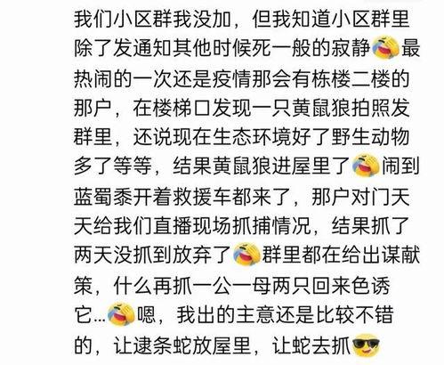 娱乐吃瓜酱名言大全集  第2张