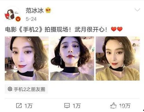 娱乐圈吃瓜集美小说,瓜田里的甜蜜陷阱  第3张