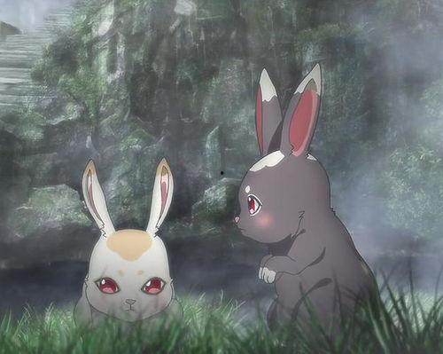 娱乐吃瓜小兔子小说,小兔子吃瓜记  第3张