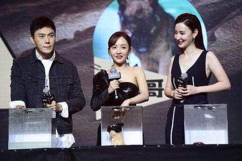 娱乐圈吃瓜汇总TXT,揭秘明星幕后故事与热点事件 第3张 娱乐圈吃瓜汇总TXT,揭秘明星幕后故事与热点事件 第3张