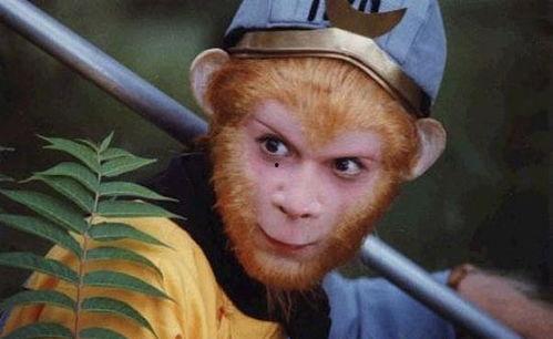 娱乐吃瓜酱西游记,西游记中的趣味解读与幕后故事  第1张