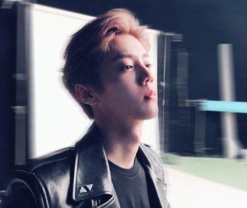 娱乐圈吃瓜鹿晗,揭秘明星背后的“吃瓜”故事  第3张