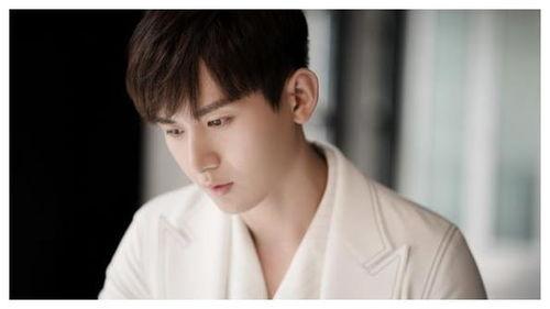 吃瓜娱乐圈成毅,瓜田里的娱乐圈新秀  第2张